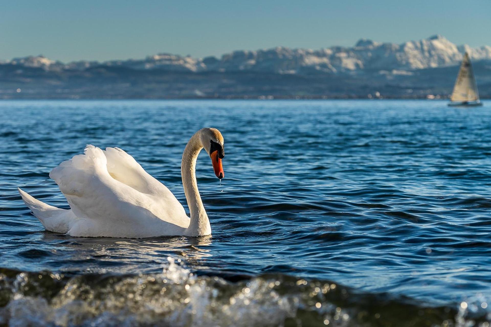 Ferienhof Dreher Meersburg Bagian luar foto
